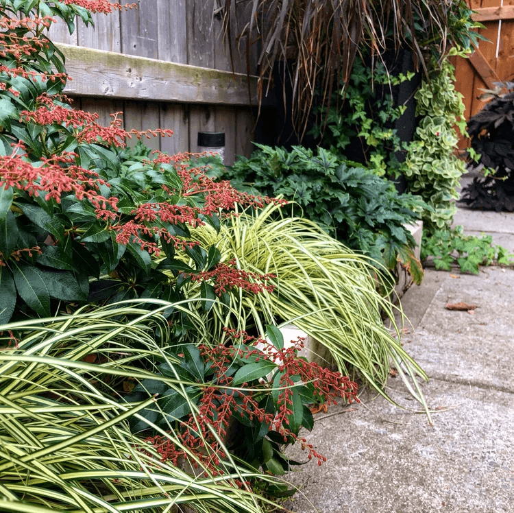 Greenwood – view 4