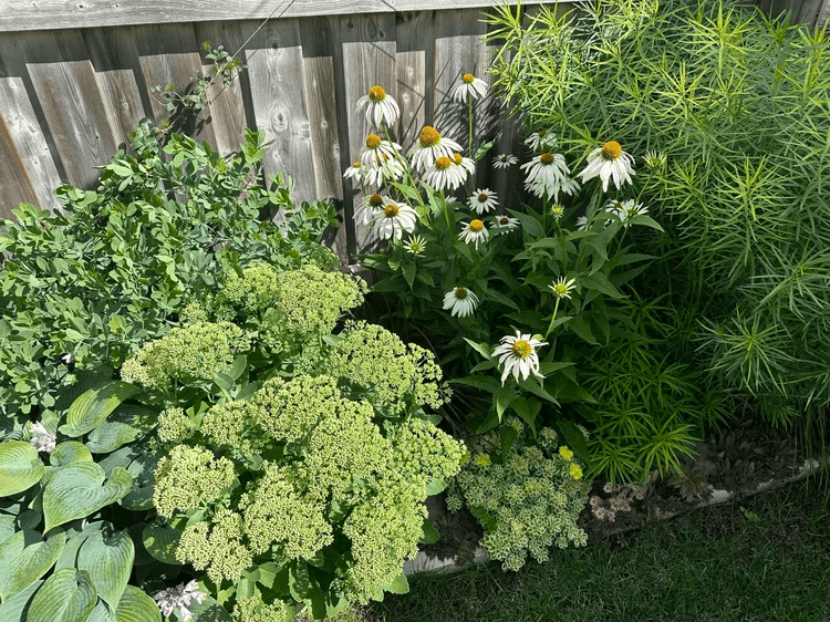 Greenwood – view 8