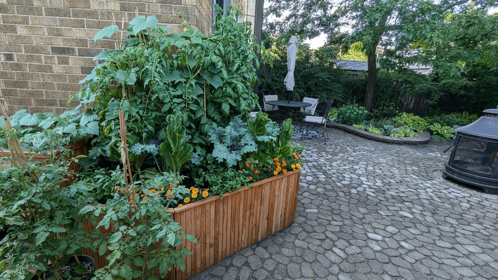 Northbrook – view 8