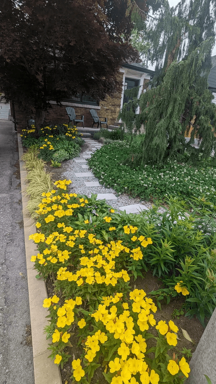 Northbrook – view 9
