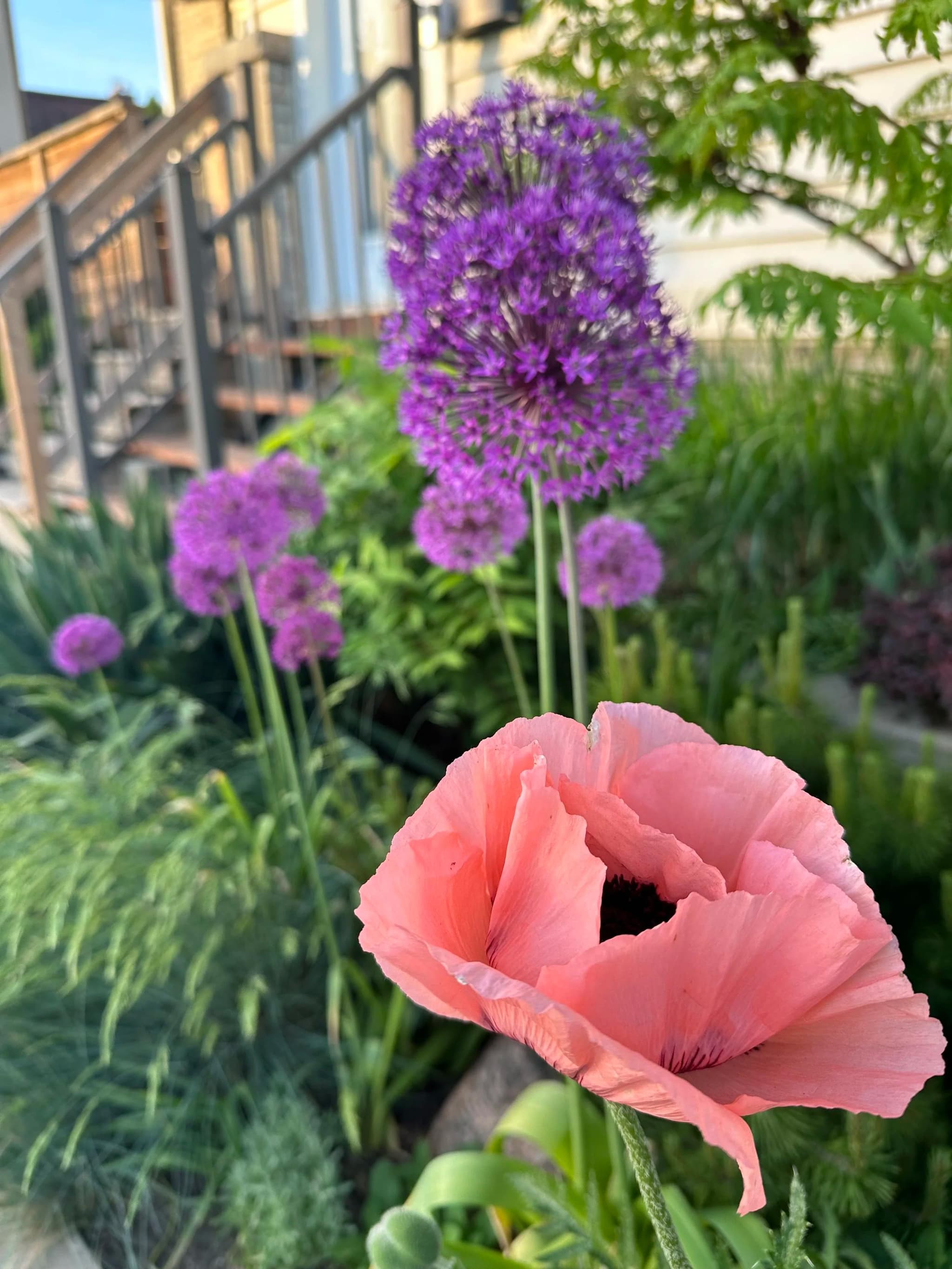 Planting & Garden Design