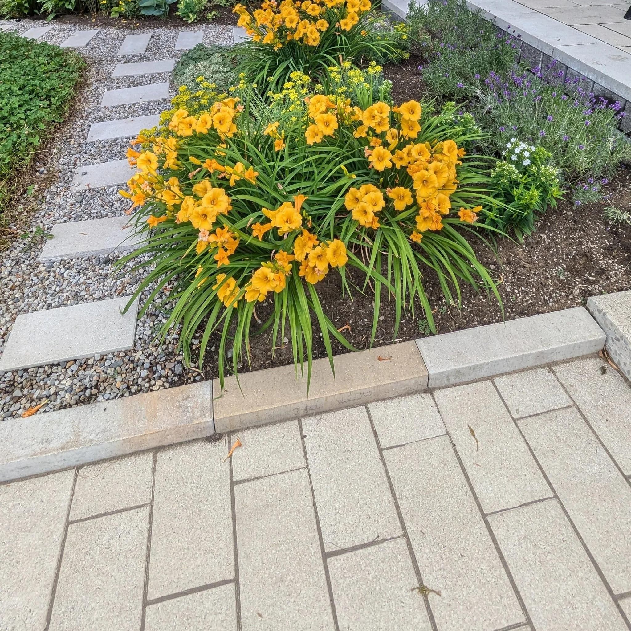 Hardscape Design